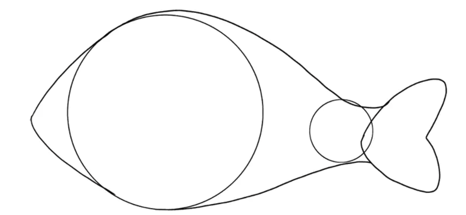 鱼类绘画教程第1步插图4 - Step 1: Draw The Base - quickly start your fish drawing