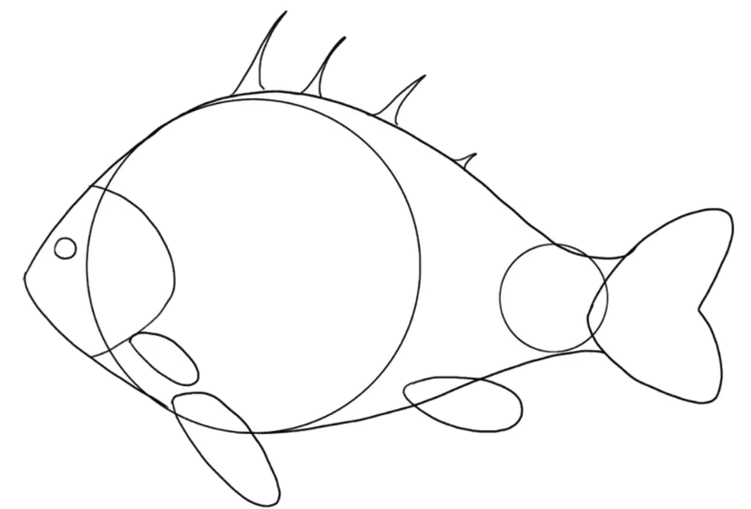 鱼类绘画教程第4步插图1 - Step 4: Draw The Spiny Dorsal Fin