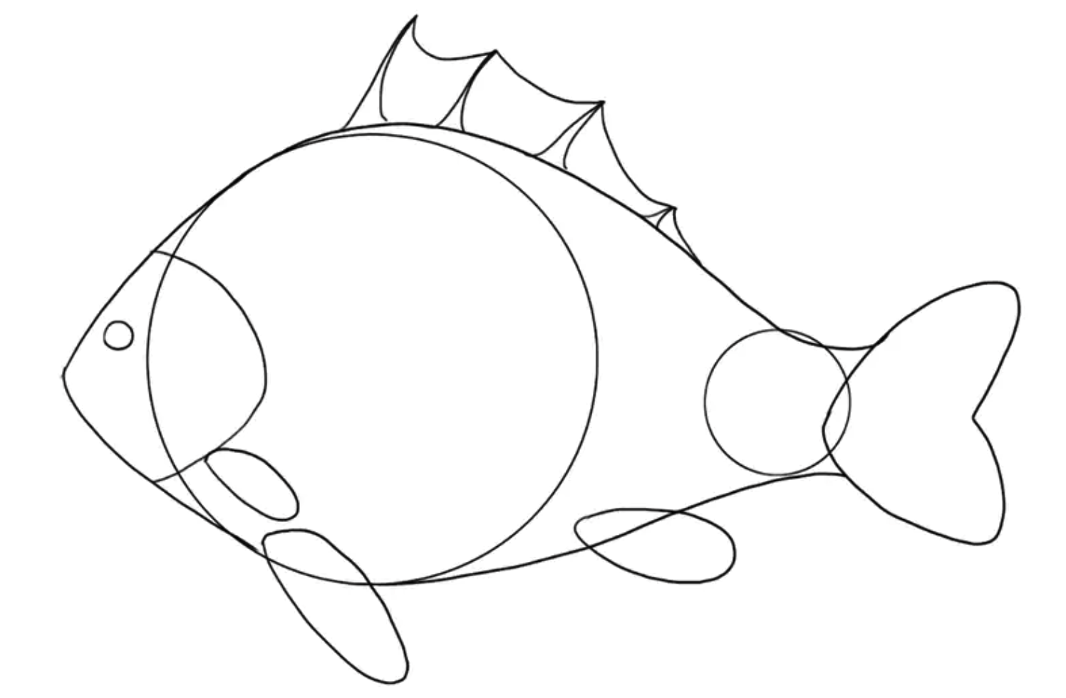 鱼类绘画教程第4步插图2 - Step 4: Draw The Spiny Dorsal Fin