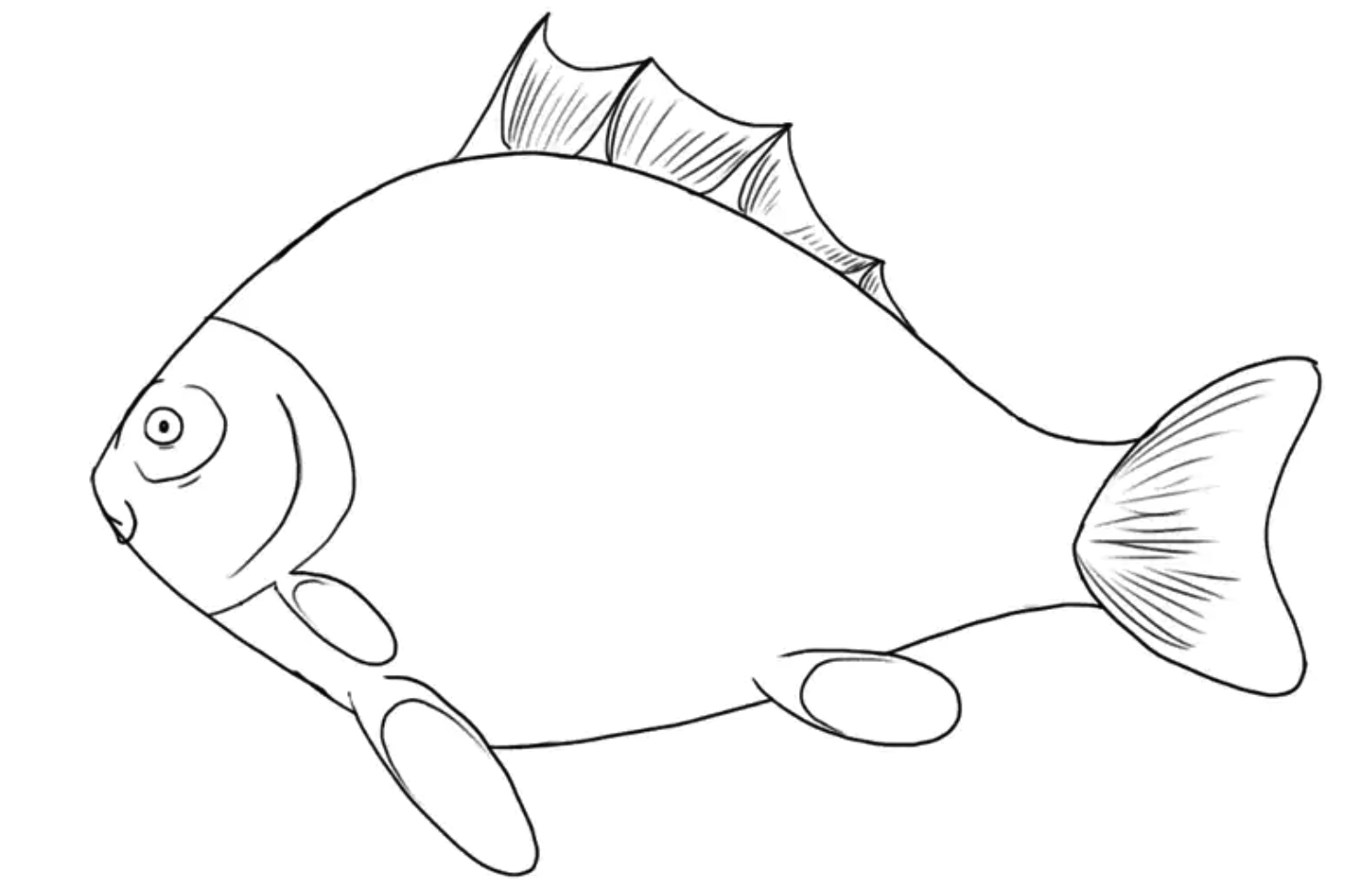 鱼类绘画教程第5步插图3 - Step 5: Add The Details